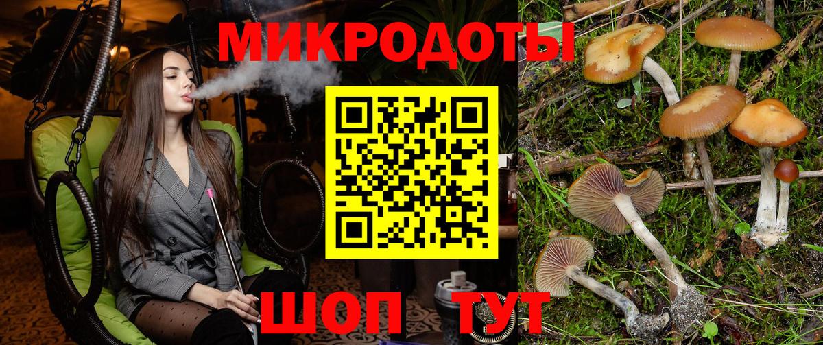 где купить наркотик  Псилоцибиновые грибы Psilocybe  Галлюциногенные грибы MAGIC MUSHROOMS  Вход с VPN  Ковров 